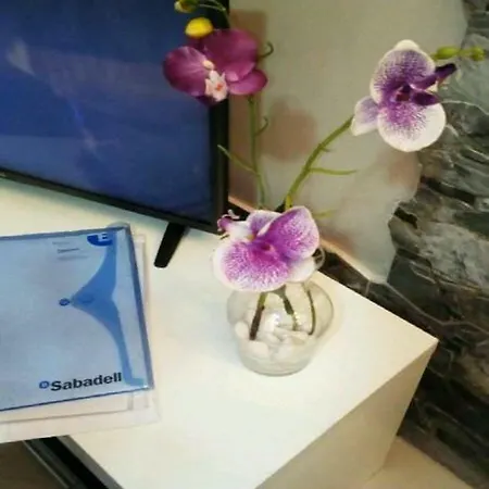 Orquidea Del Sur Lejlighed *